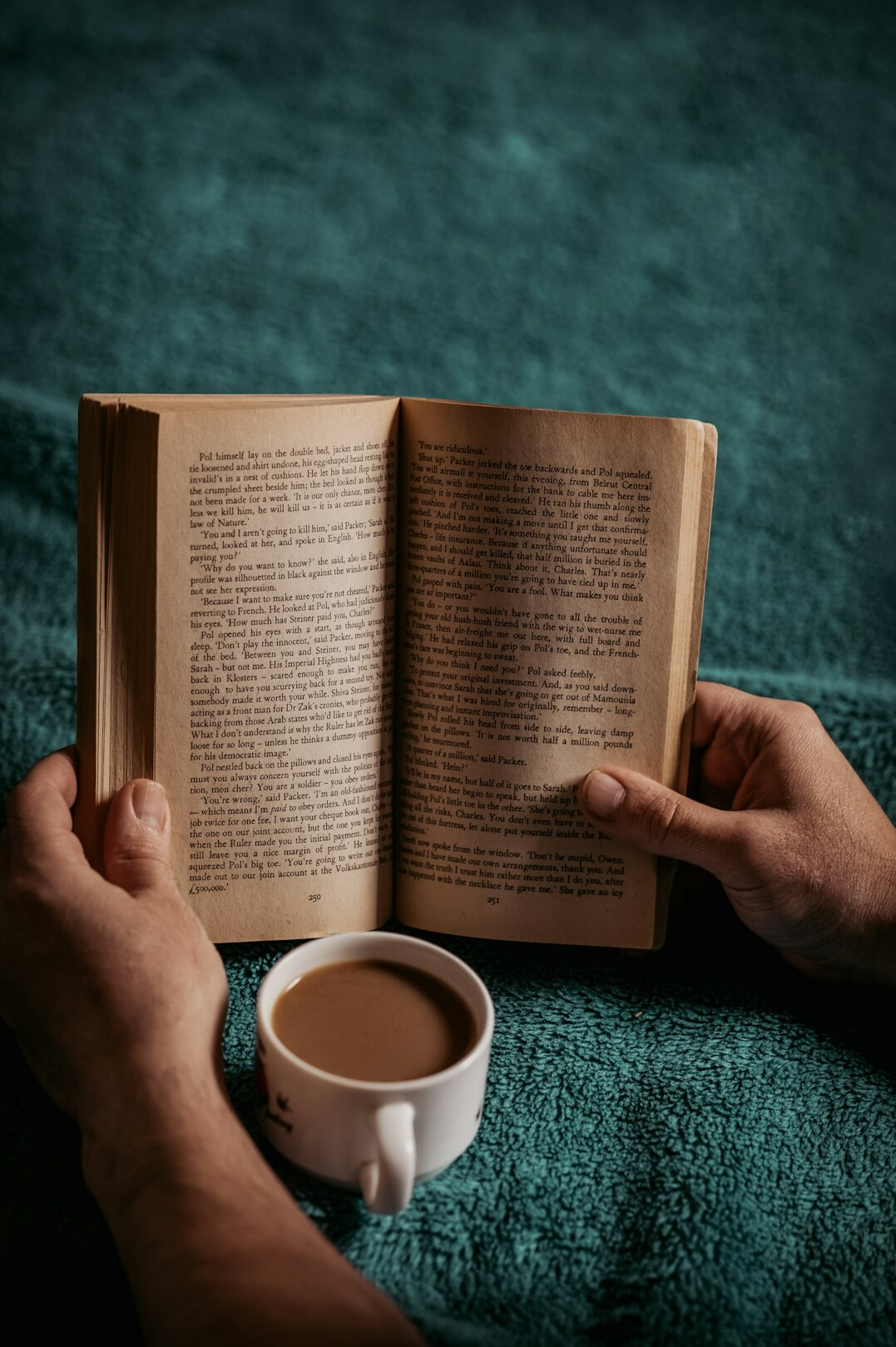person reading thriller book